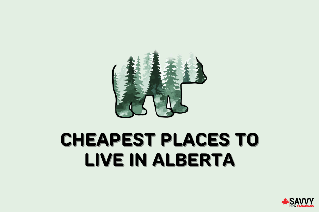 10 Cheapest Places to Live in Alberta in 2024