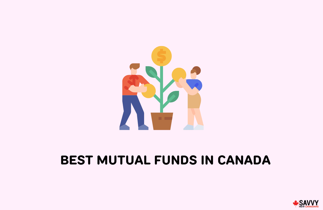 10 Best Mutual Funds in Canada for 2024 Savvy New Canadians