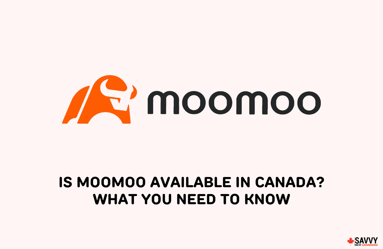 Is Moomoo Available in Canada? What You Need To Know